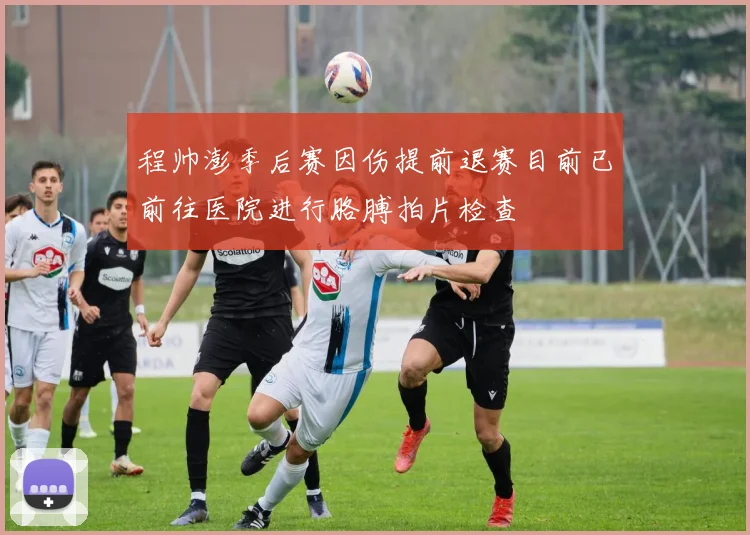 程帅澎季后赛因伤提前退赛目前已前往医院进行胳膊拍片检查