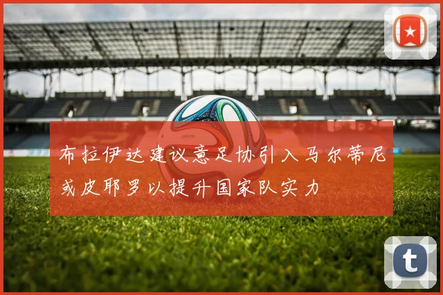 布拉伊达建议意足协引入马尔蒂尼或皮耶罗以提升国家队实力